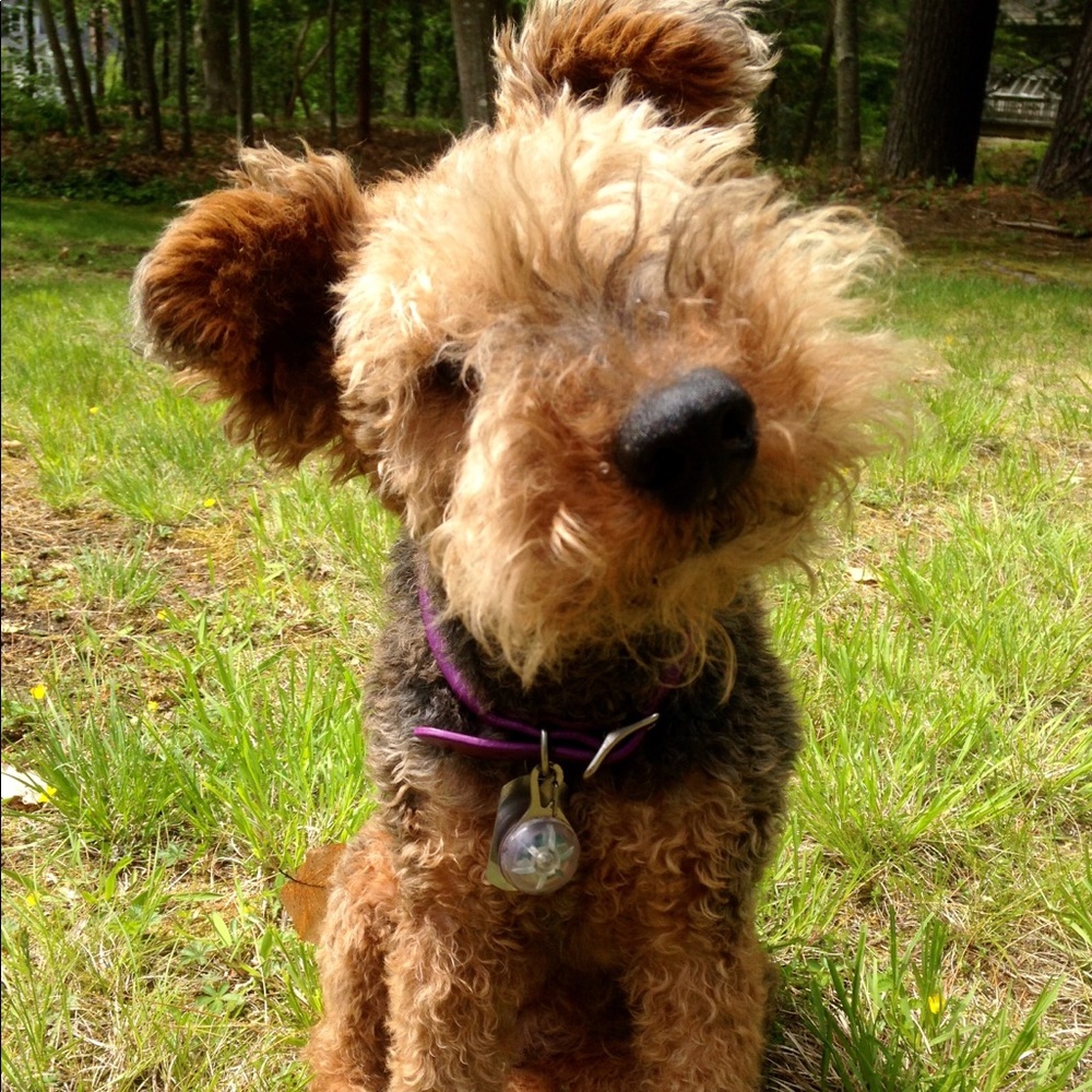 Abbie!